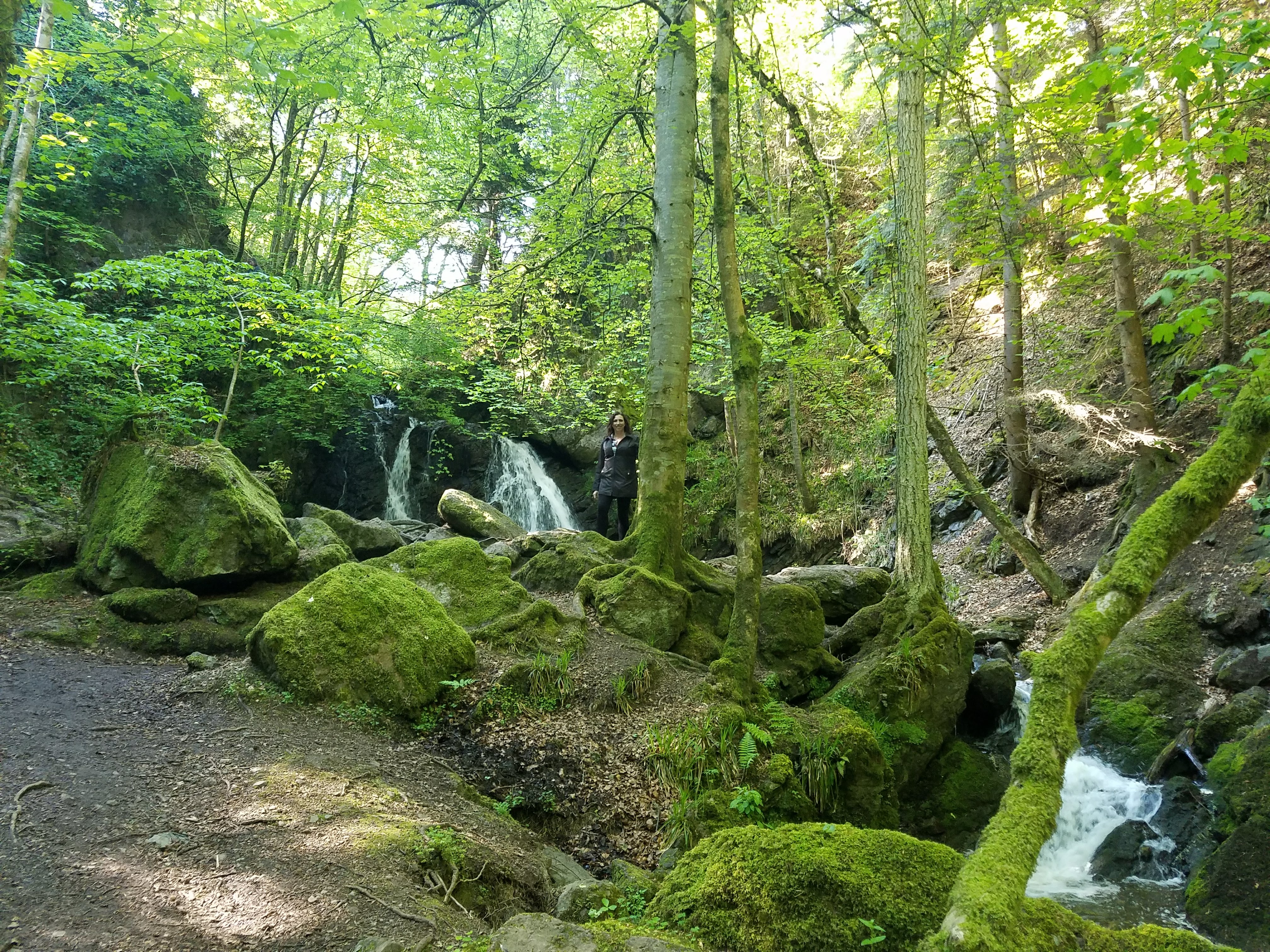 Fairy Glen Falls, Scotland